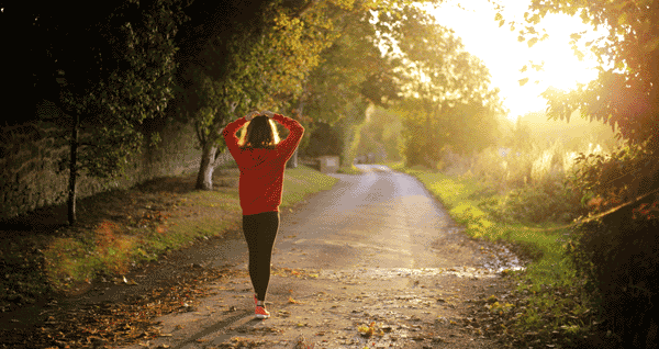 ENGLISH Fitness trails next to La Costette